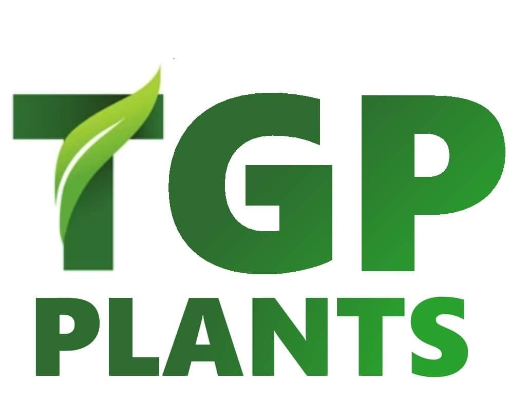 TGP Plants 